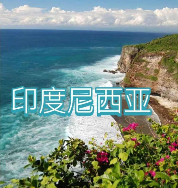 中国国际电商(印尼)产业博览会冰球突破豪华版手机版2025